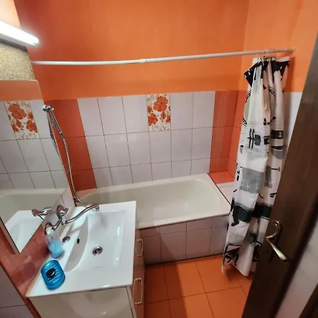Apartment Two Bedrooms Timisoara